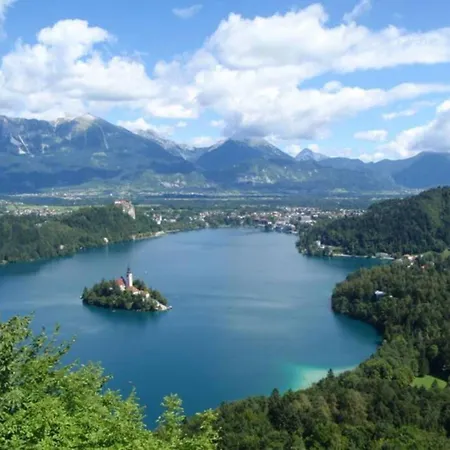Hébergement de vacances Alpine Retreat - Bled