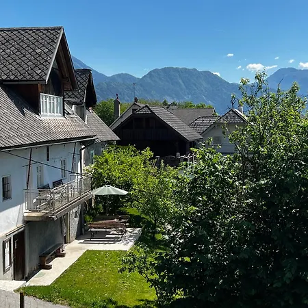 Hébergement de vacances Alpine Retreat - *