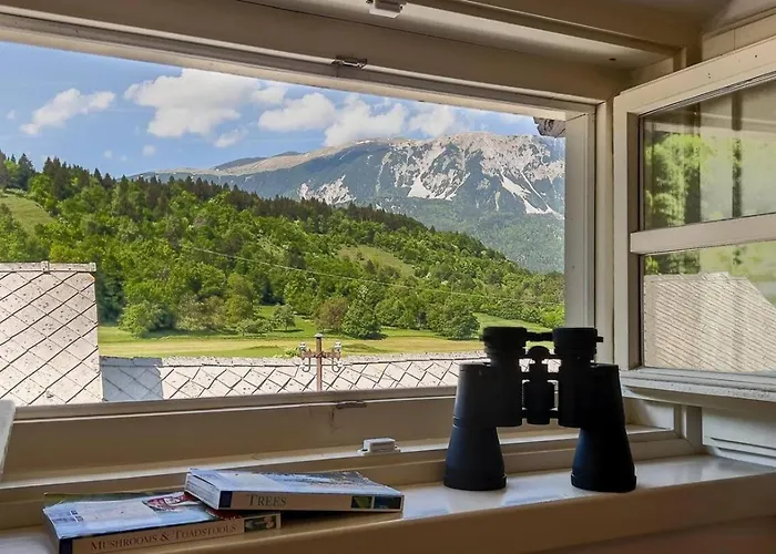 Alpine Retreat - 度假居